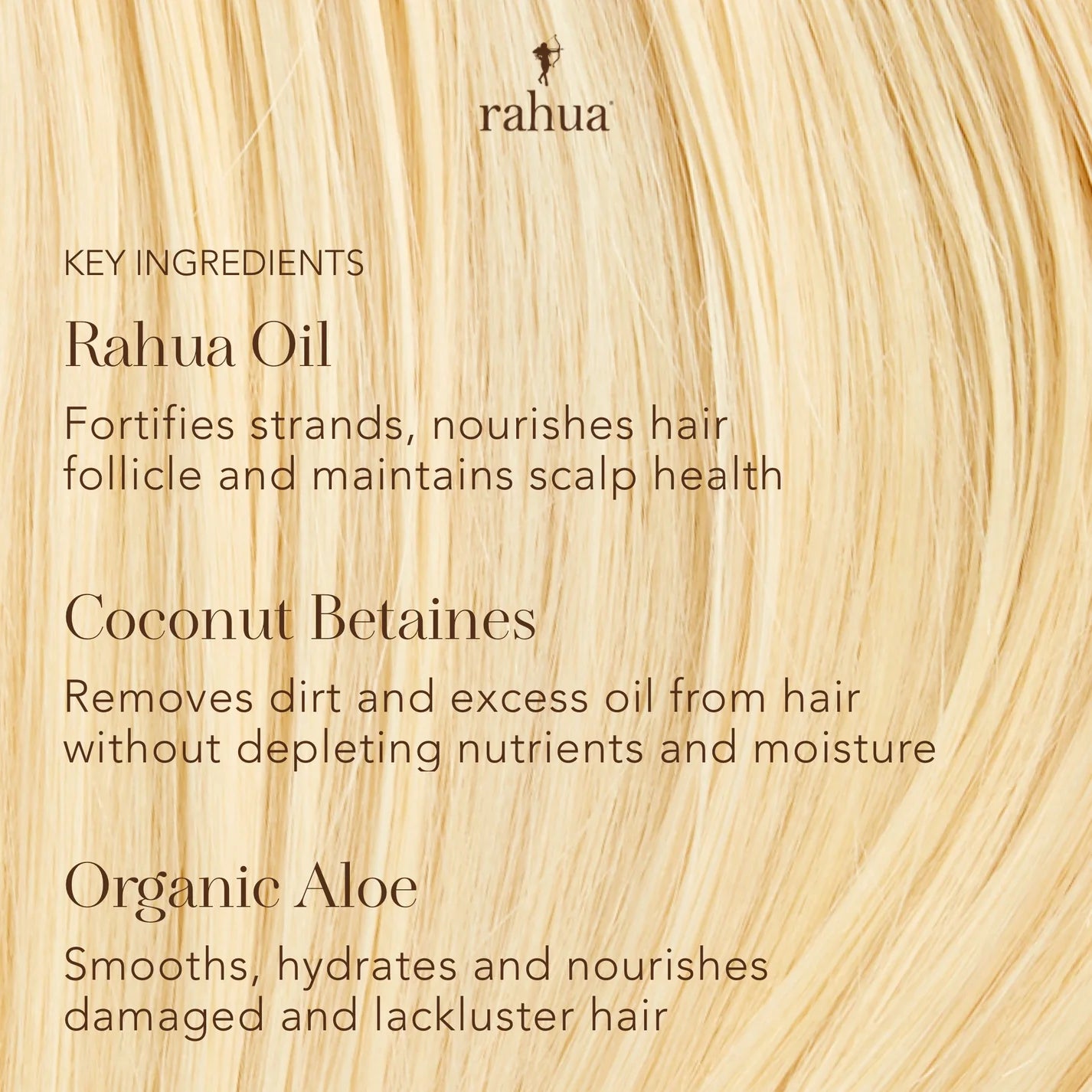 Rahua Classic Conditioner